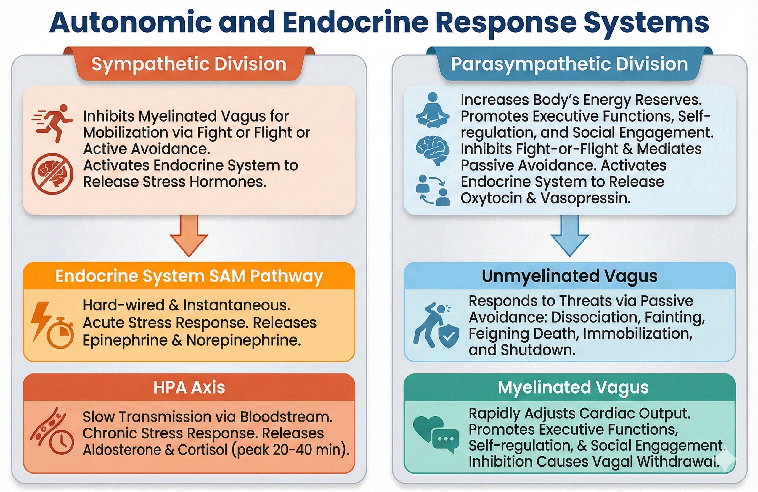 Autonomic and endocrine response systems